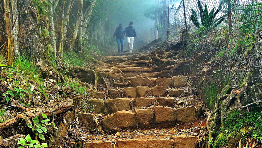 kodaikanal honeymoon package